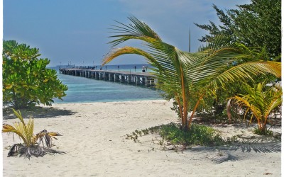 Rajska „Girlanda Wysp” – Malediwy